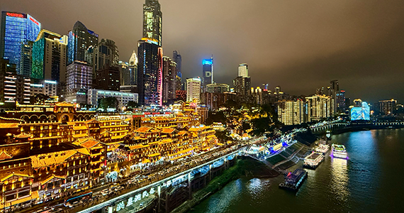 深圳域名注册查询商