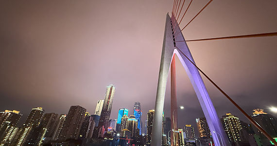 宁波一级域名注册商户查询网